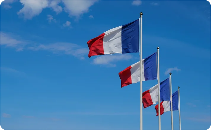 Umzug Frankreich flags